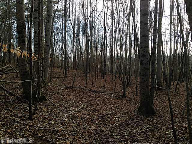 1344 Falcon Road East Bend, NC 27018 - Photo 14 of 14 Land.