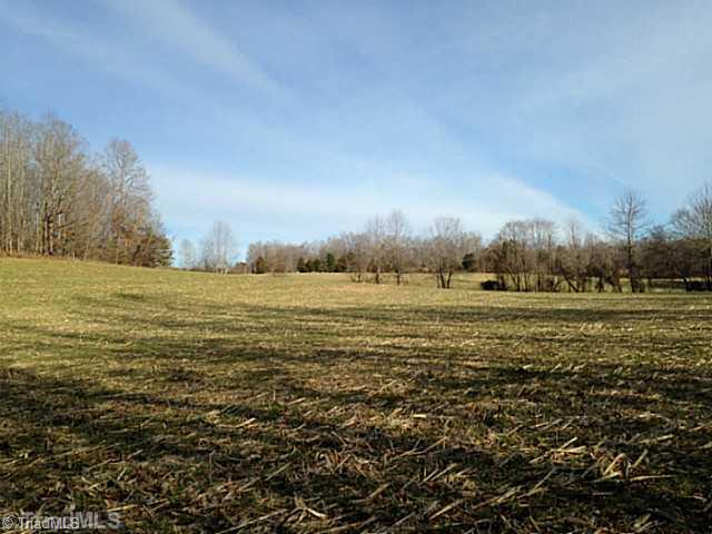 1344 Falcon Road East Bend, NC 27018 - Photo 4 of 14 Land.