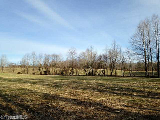 1344 Falcon Road East Bend, NC 27018 - Photo 5 of 14 Land.