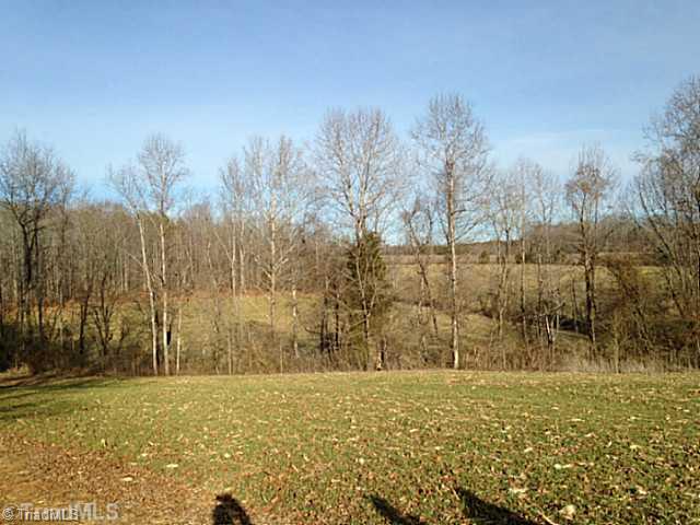 1344 Falcon Road East Bend, NC 27018 - Photo 6 of 14 Land.