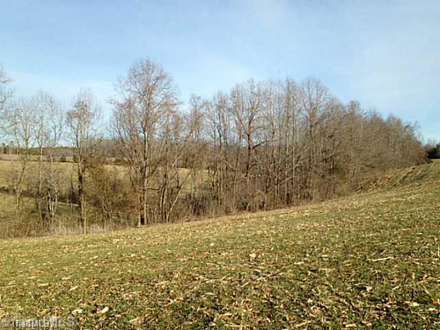 1344 Falcon Road East Bend, NC 27018 - Photo 7 of 14 Land.