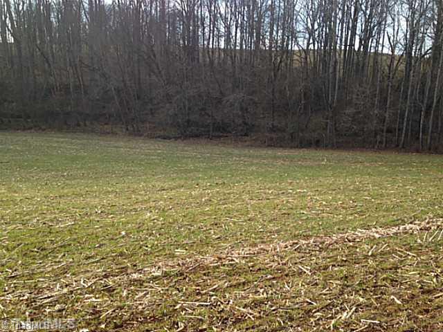 1344 Falcon Road East Bend, NC 27018 - Photo 8 of 14 Land.