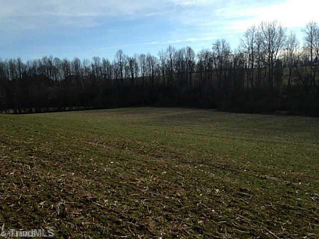 1344 Falcon Road East Bend, NC 27018 - Photo 9 of 14 Land.