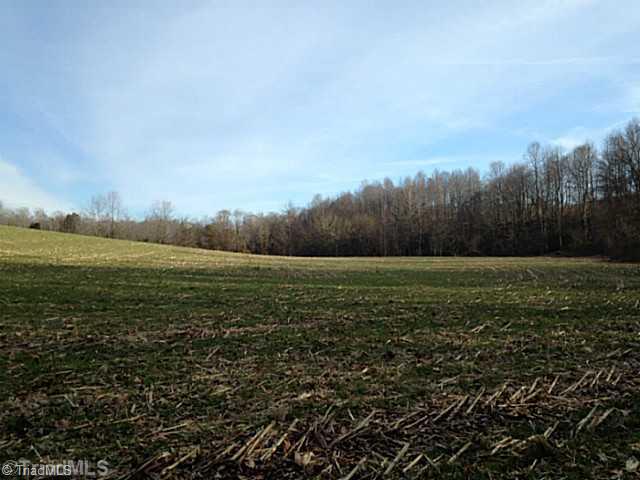 1344 Falcon Road East Bend, NC 27018 - Photo 10 of 14 Land.