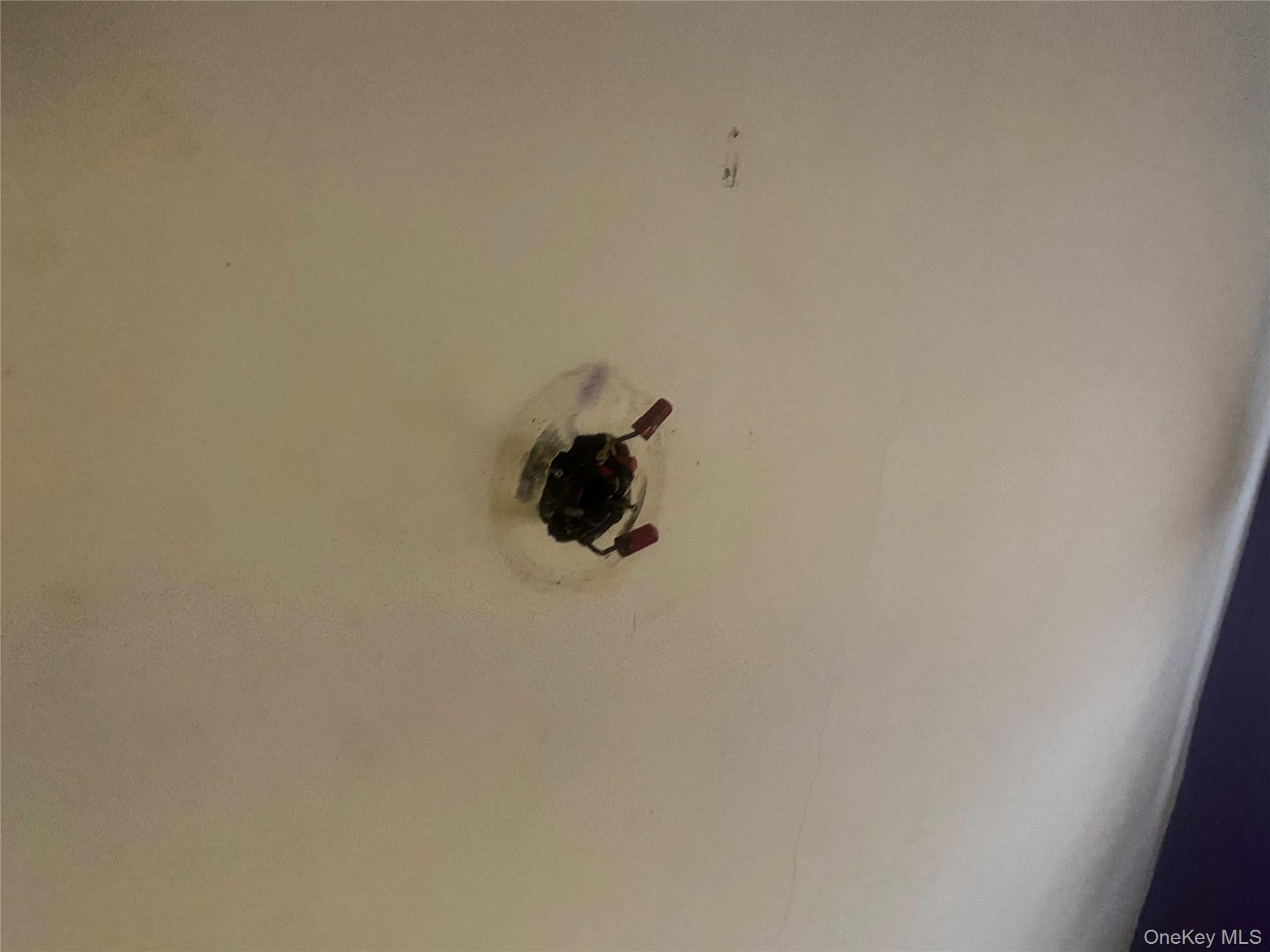 2713 Eastchester Road Bronx, NY 10469 - Photo 5 of 13 a close up of a white marble wall