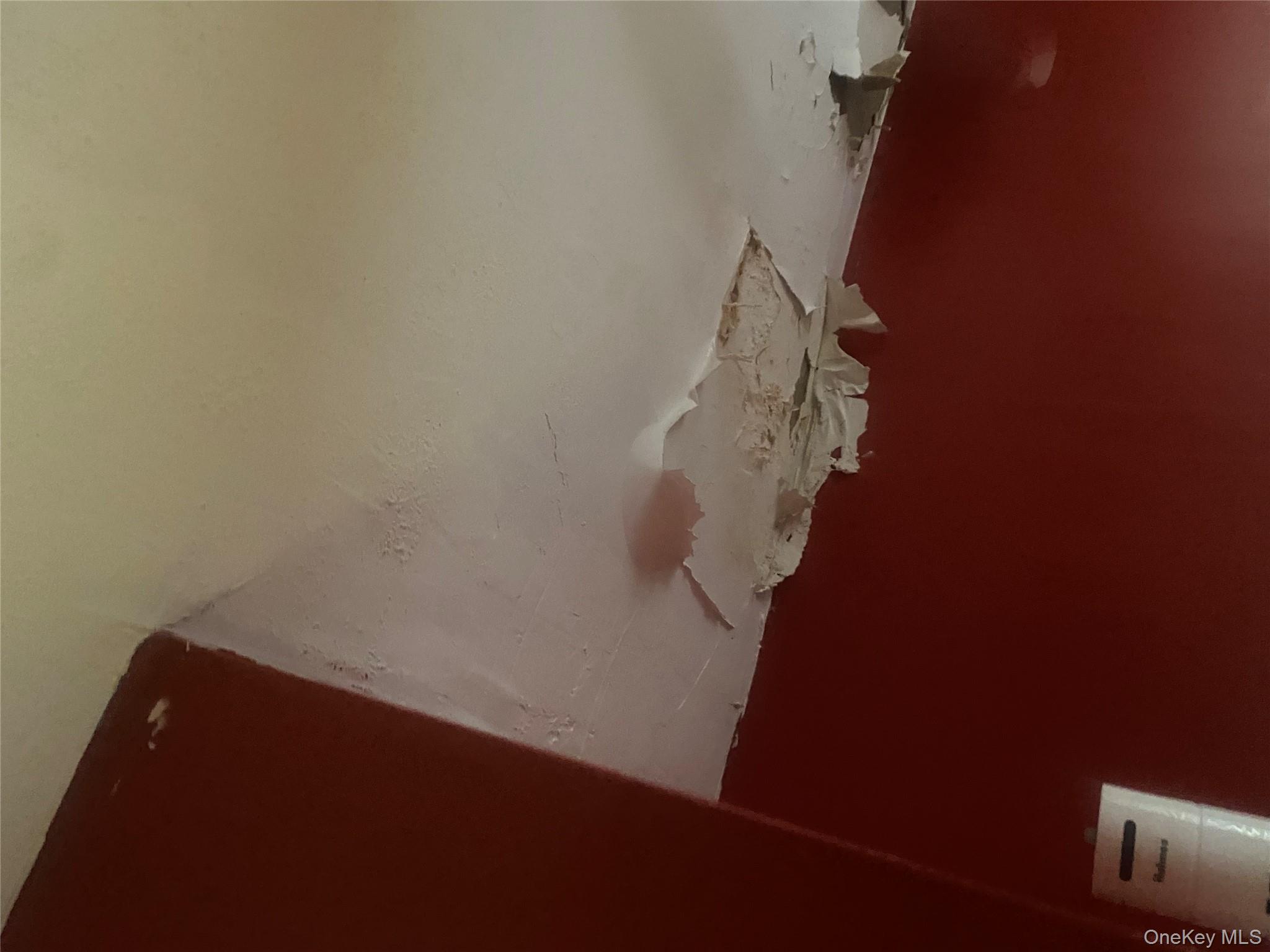 2713 Eastchester Road Bronx, NY 10469 - Photo 6 of 13