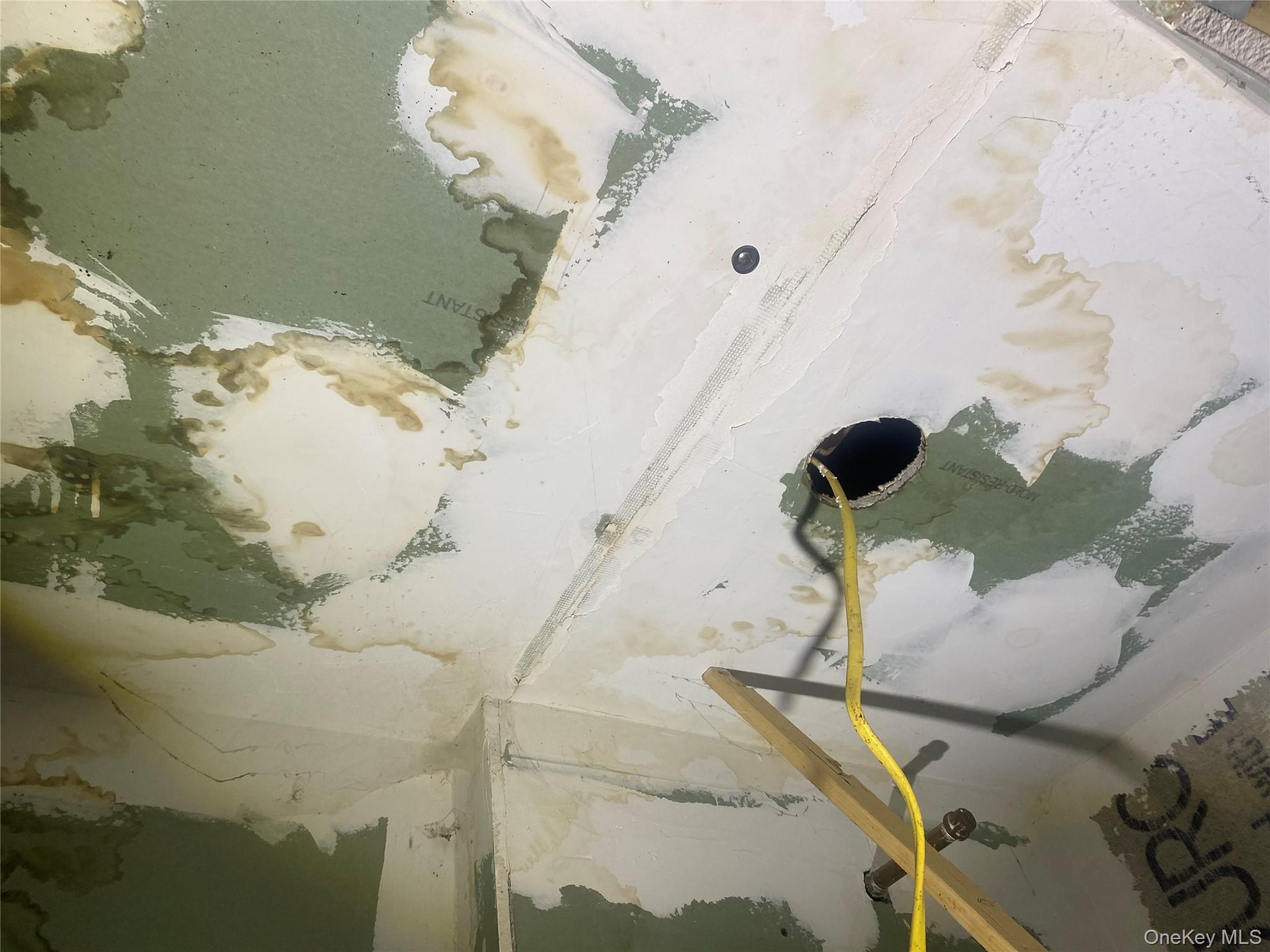 2713 Eastchester Road Bronx, NY 10469 - Photo 10 of 13 a vase of flowers sitting on a table