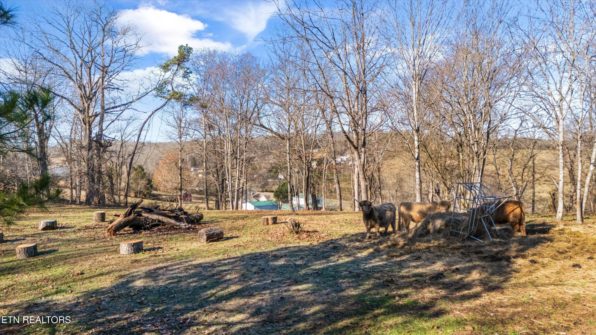 183 Laurel Road Clinton, TN 37716 - Photo 48 of 60 Gallery Image 48