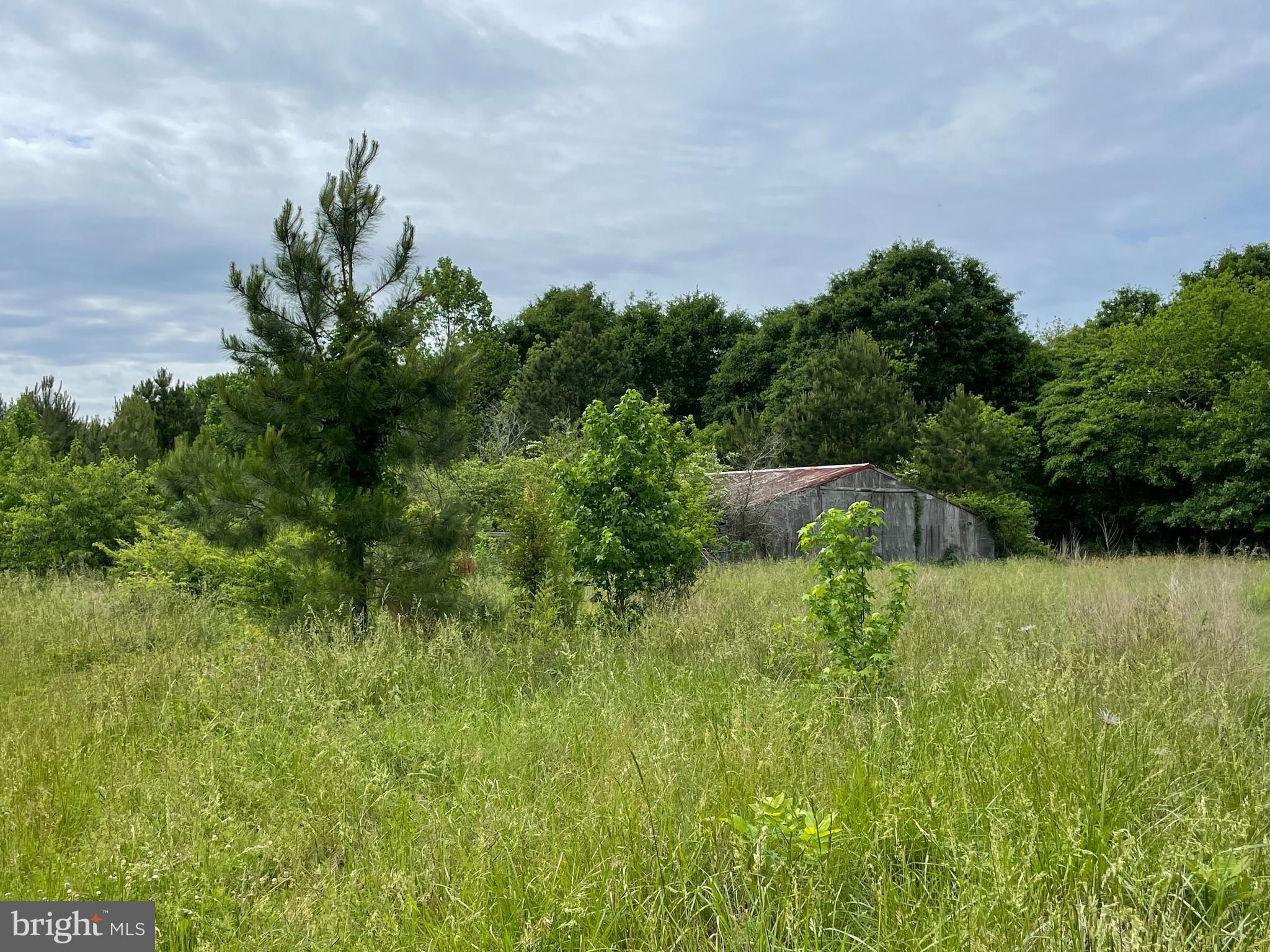 0 Nanticoke Road Bivalve, MD 21814 - Photo 12 of 13 Gallery Image 12