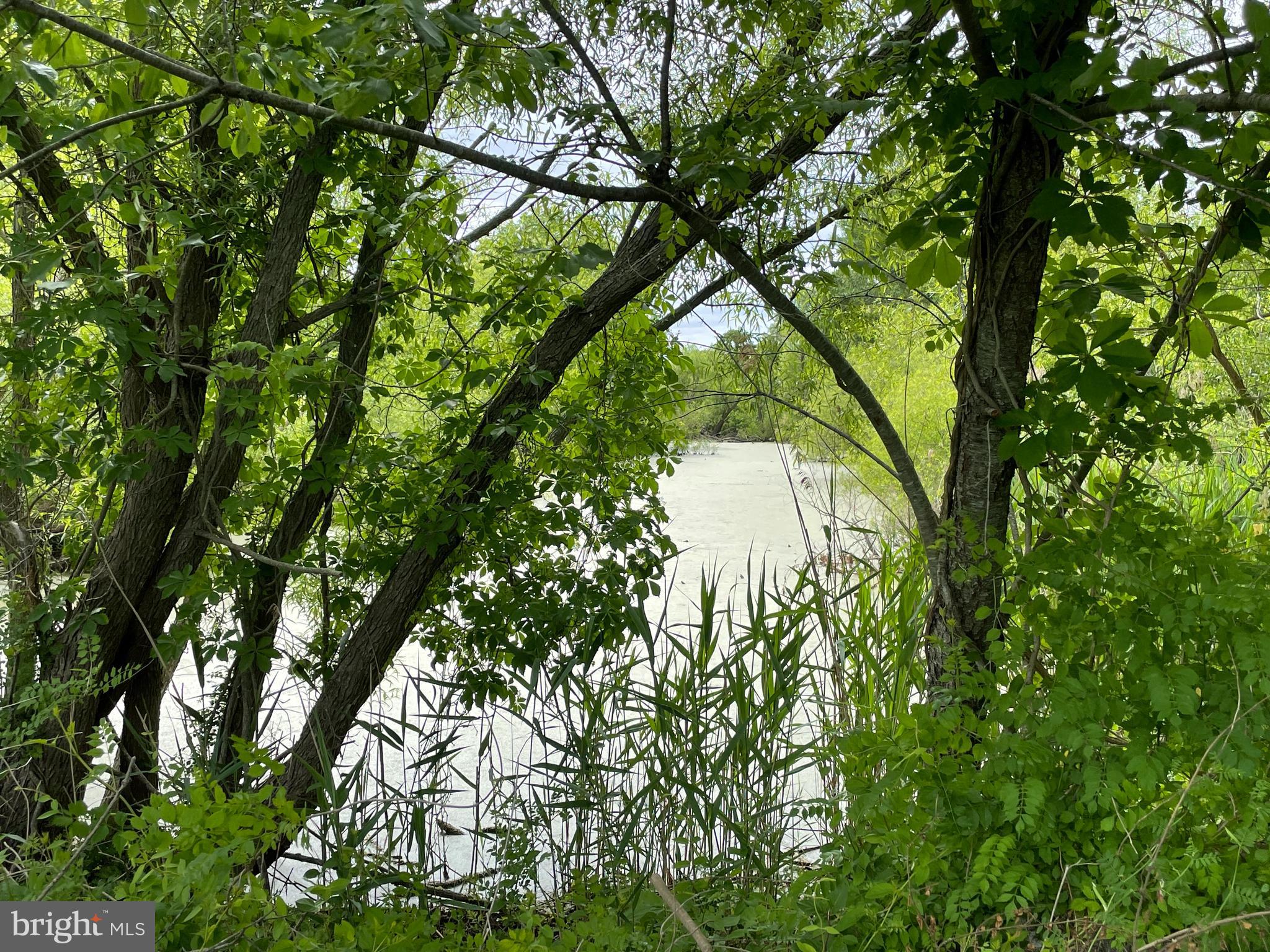 0 Nanticoke Road Bivalve, MD 21814 - Photo 4 of 13 Gallery Image 4