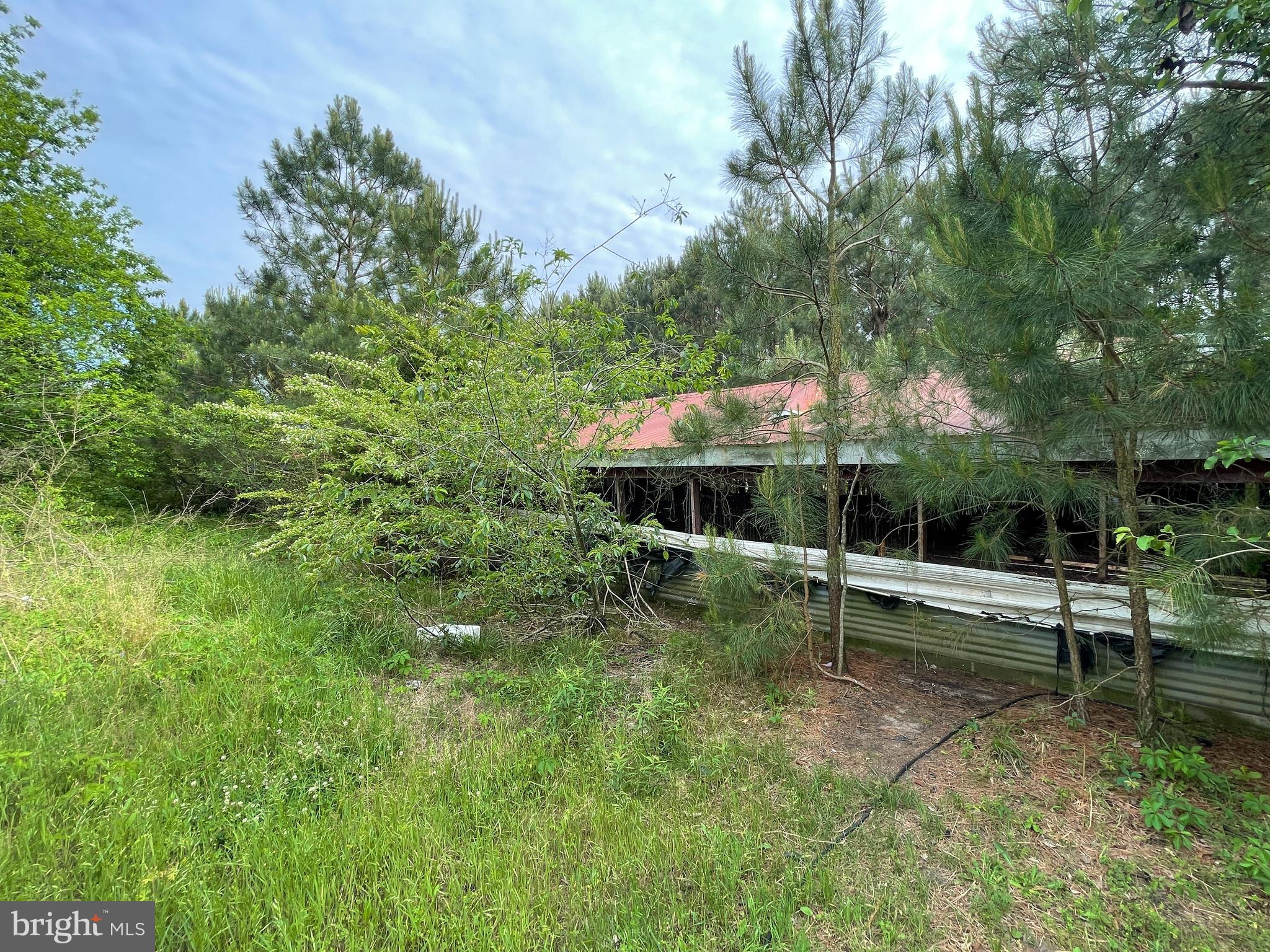 0 Nanticoke Road Bivalve, MD 21814 - Photo 6 of 13 Gallery Image 6