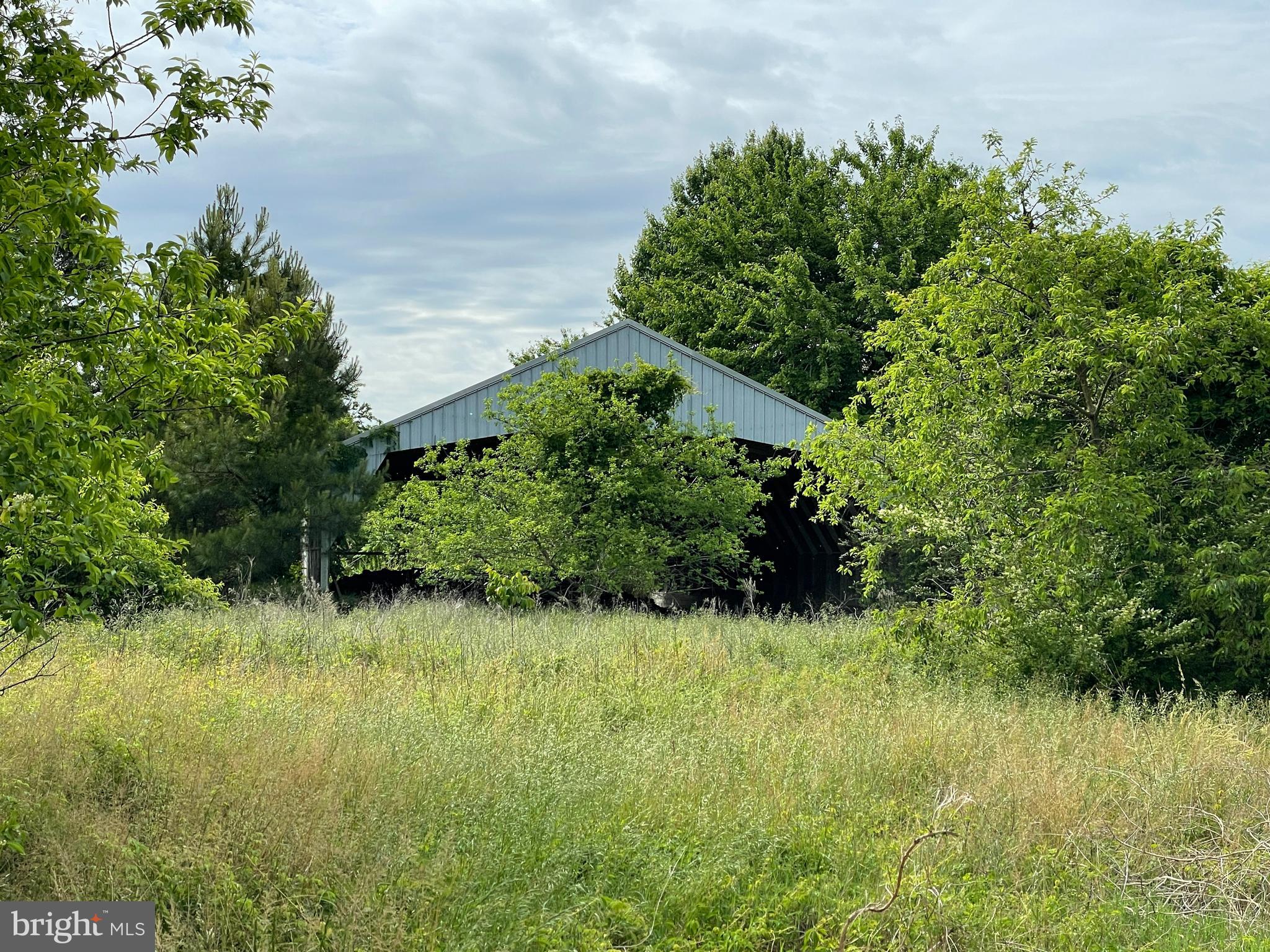 0 Nanticoke Road Bivalve, MD 21814 - Photo 7 of 13 Gallery Image 7