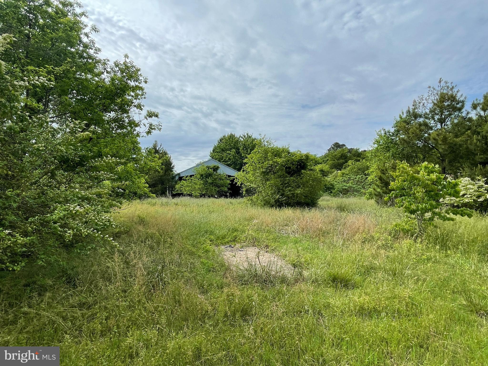 0 Nanticoke Road Bivalve, MD 21814 - Photo 8 of 13 Gallery Image 8