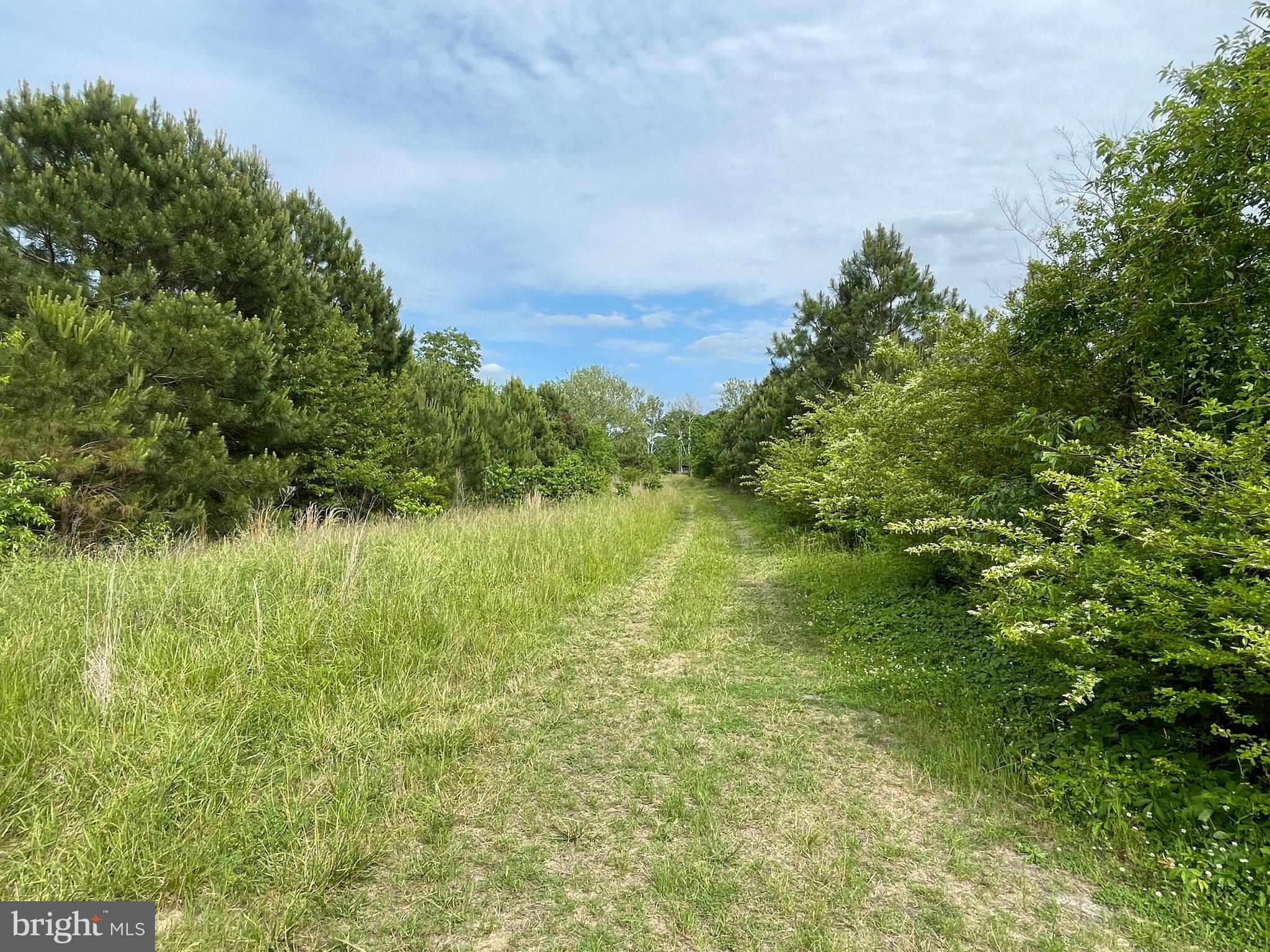 0 Nanticoke Road Bivalve, MD 21814 - Photo 9 of 13 Gallery Image 9