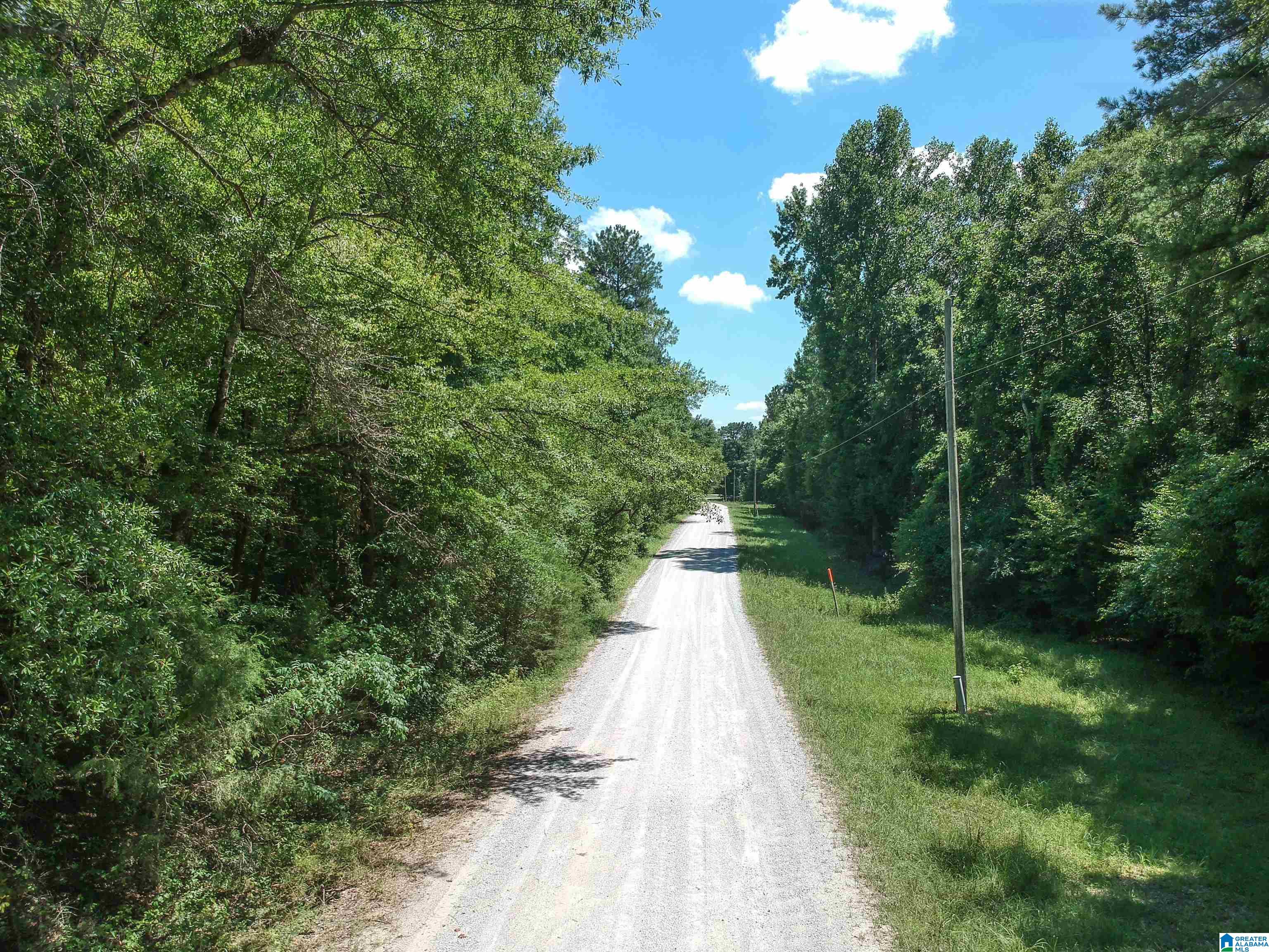 0 Upper Columbus Road Coker, AL 35452 - Photo 1 of 15