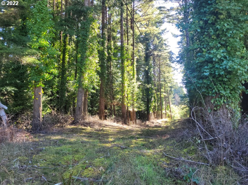 Orchard Rd Port Port Orford, OR 97465 - Photo 1 of 8 Gallery Image 1