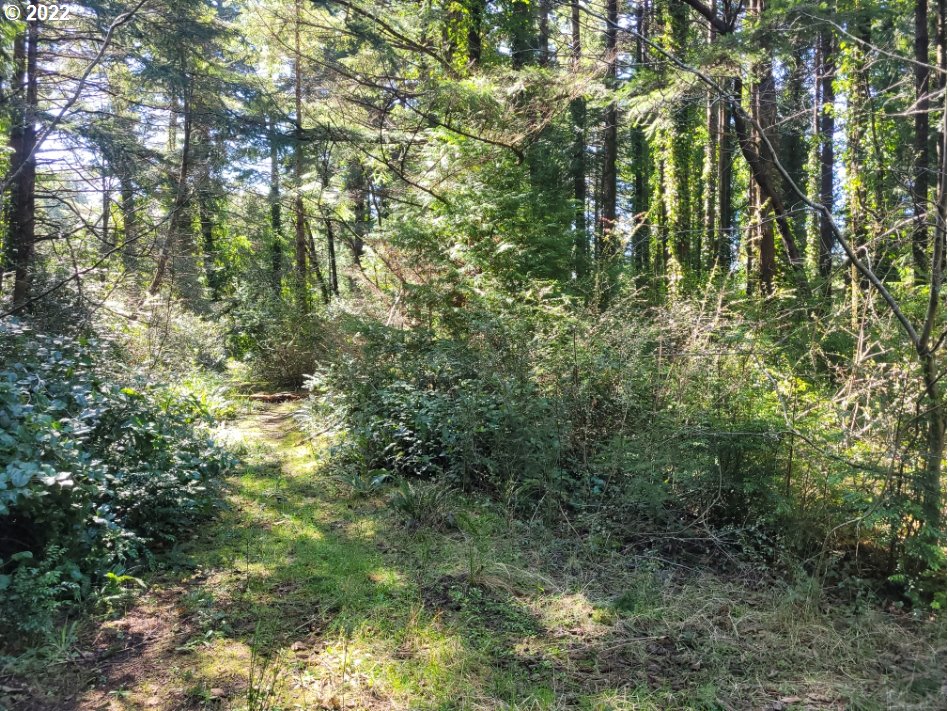 Orchard Rd Port Port Orford, OR 97465 - Photo 3 of 8 Gallery Image 3