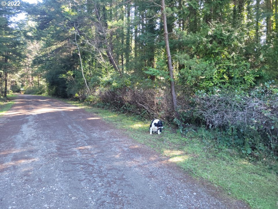 Orchard Rd Port Port Orford, OR 97465 - Photo 4 of 8 Gallery Image 4