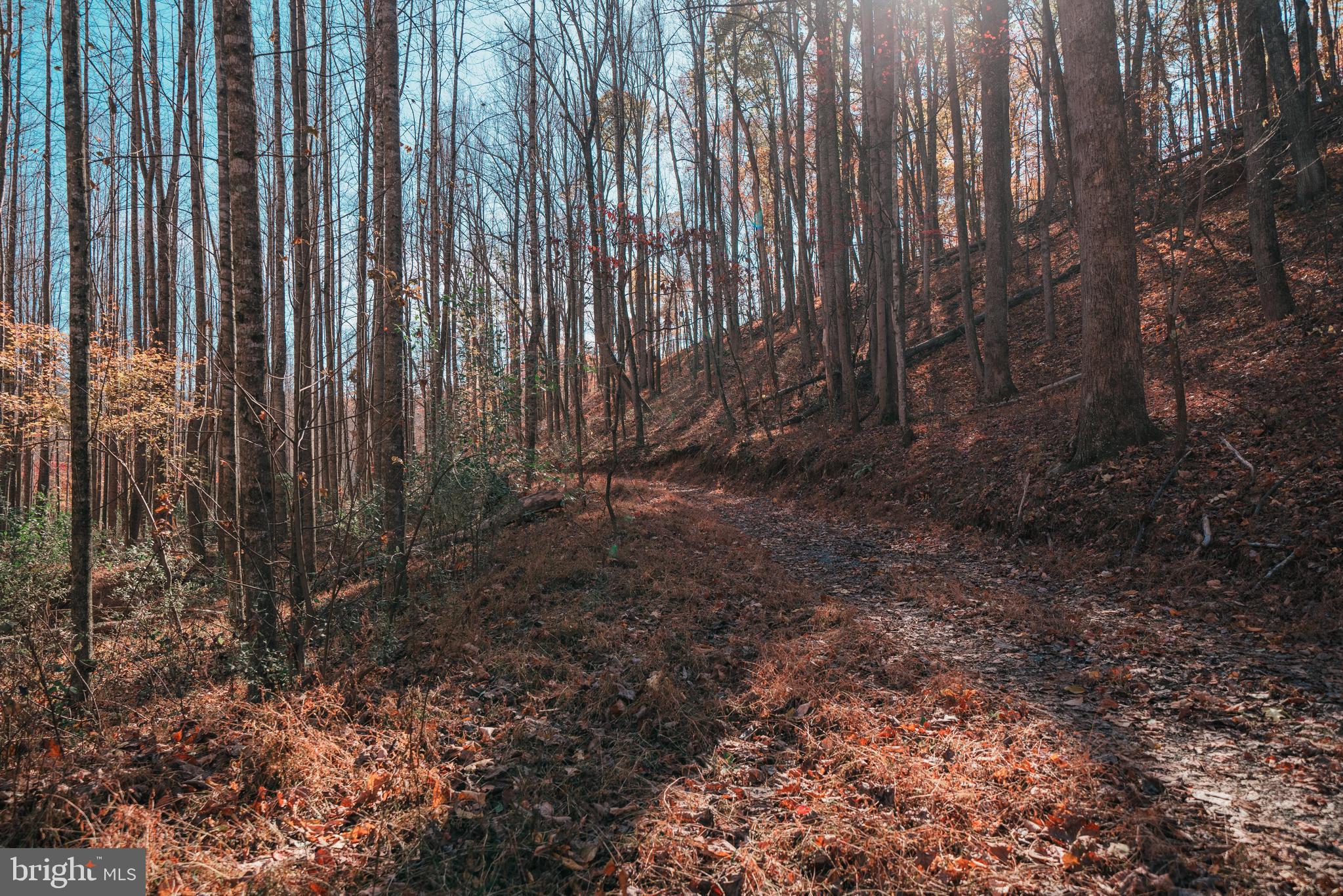 Poorhouse Road Charlottesville, VA 22903 - Photo 18 of 27 Gallery Image 18