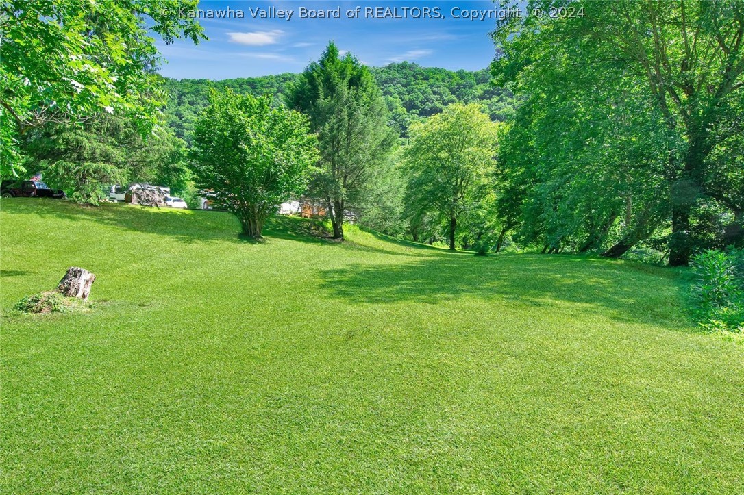 882 Joes Road Procious, WV 25164 - Photo 39 of 40 Gallery Image 39
