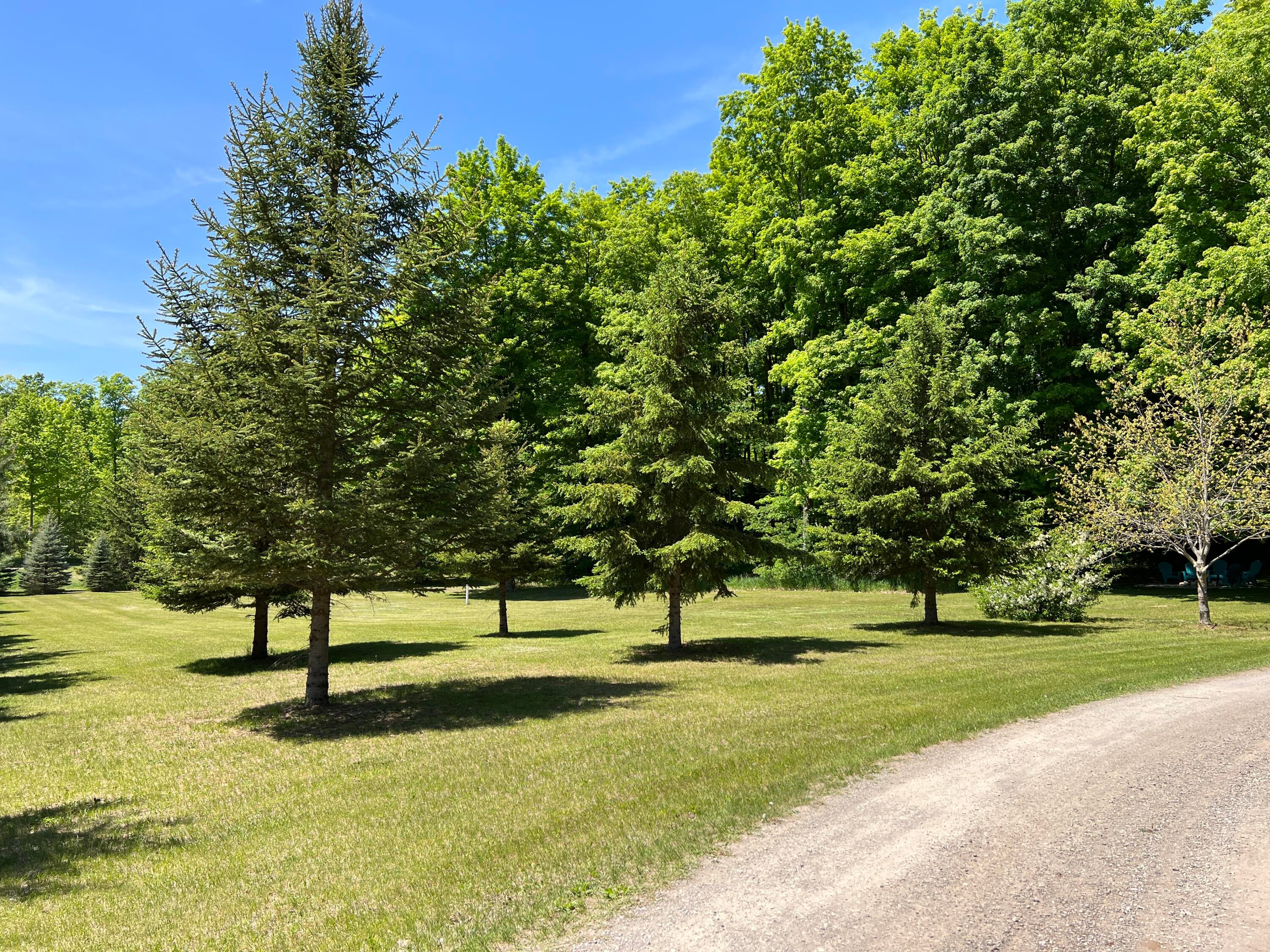3156 Webb Road Wolverine, MI 49799 - Photo 17 of 70 Gallery Image 17