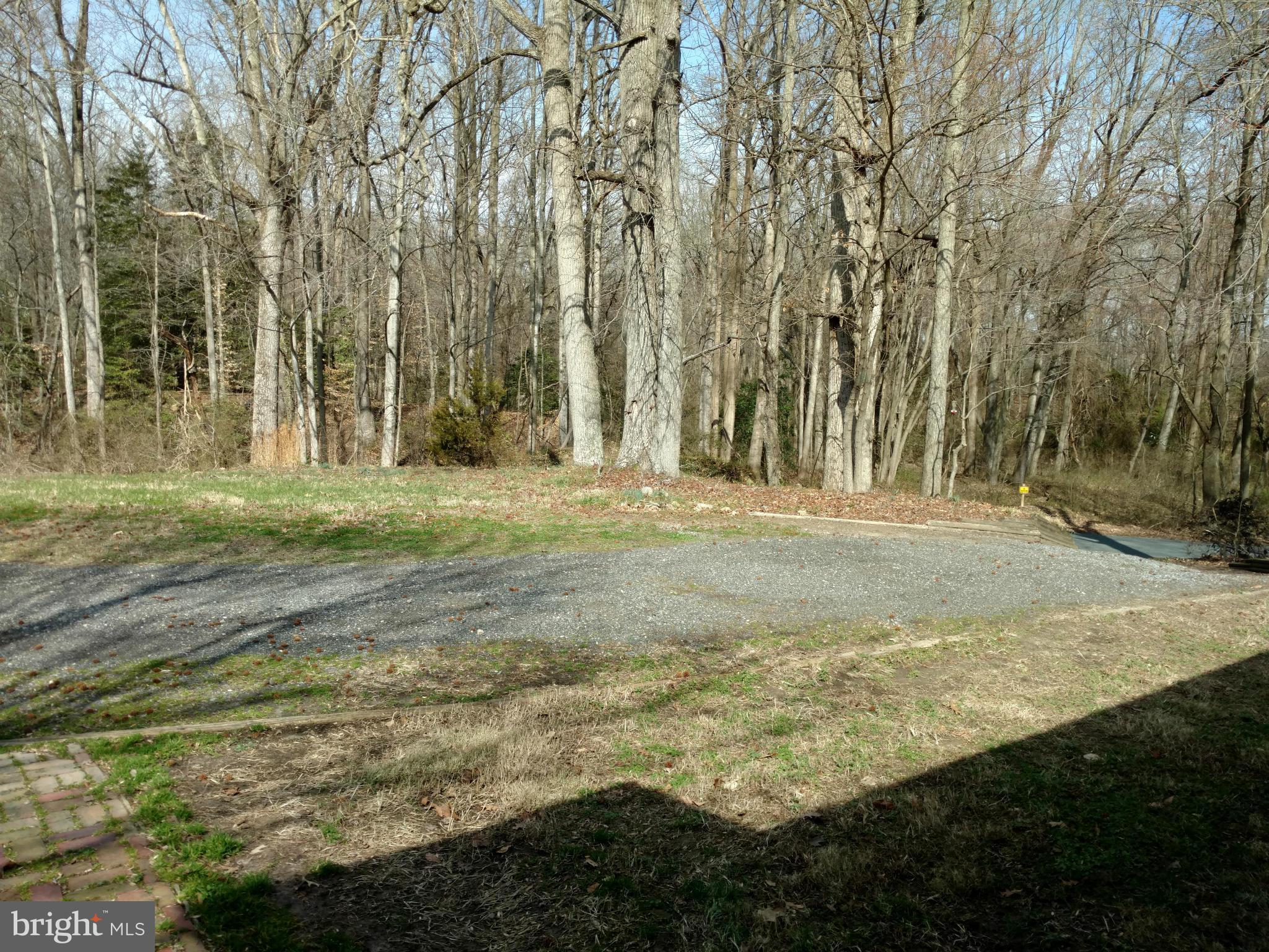 30433 Deep Branch Road Trappe, MD 21673 - Photo 13 of 13 View looking out your front door