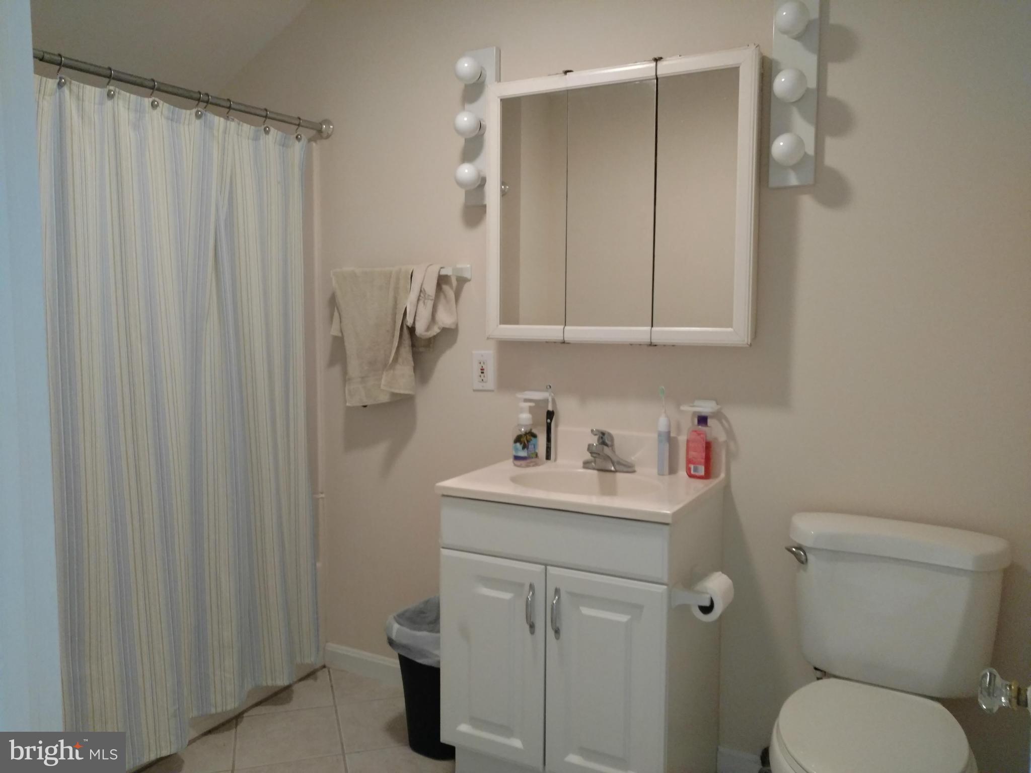 30433 Deep Branch Road Trappe, MD 21673 - Photo 8 of 13 Bath