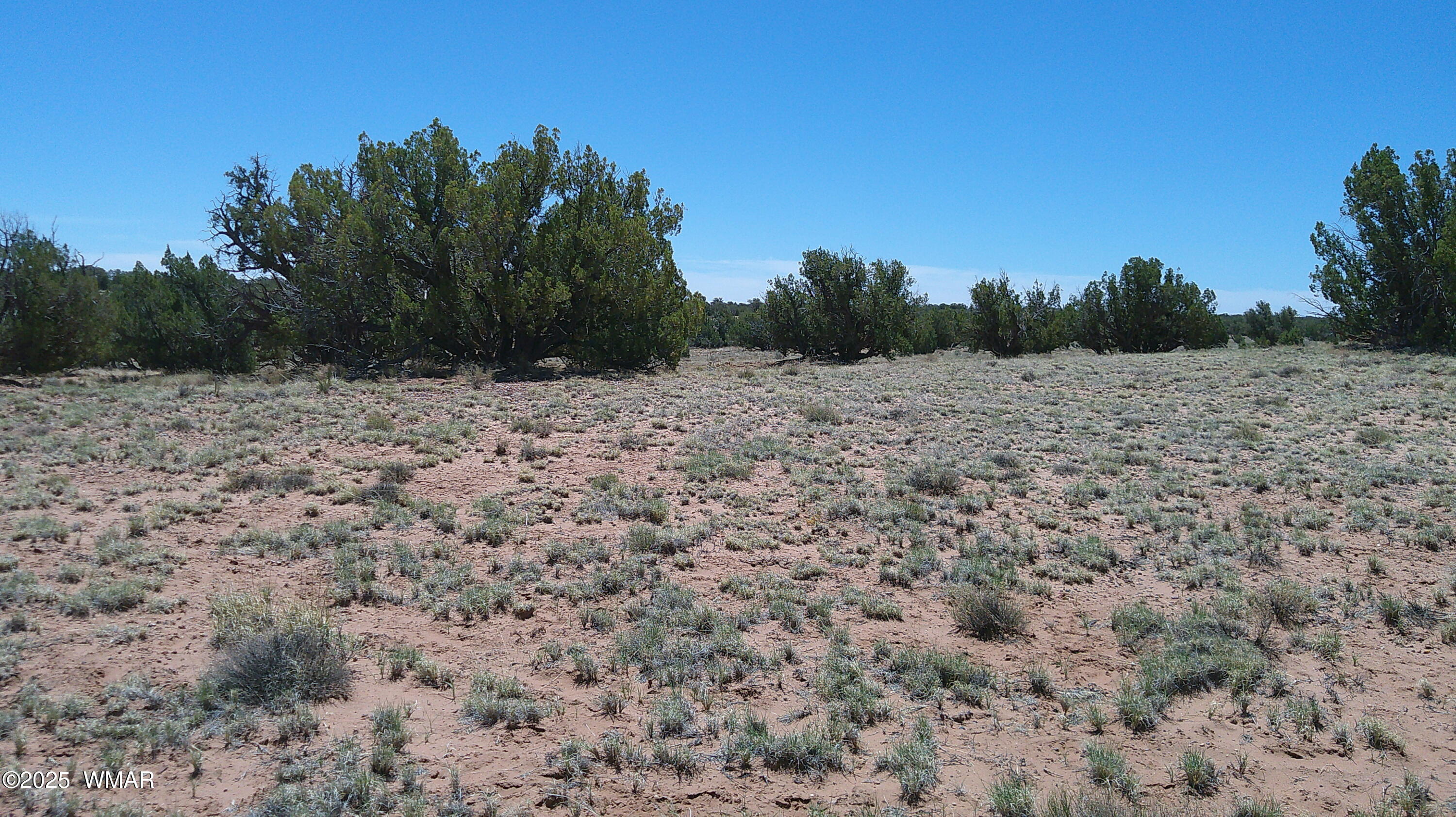 Tbd Tbd Rio Ranch Concho, AZ 85924 - Photo 32 of 44 DSCF0048