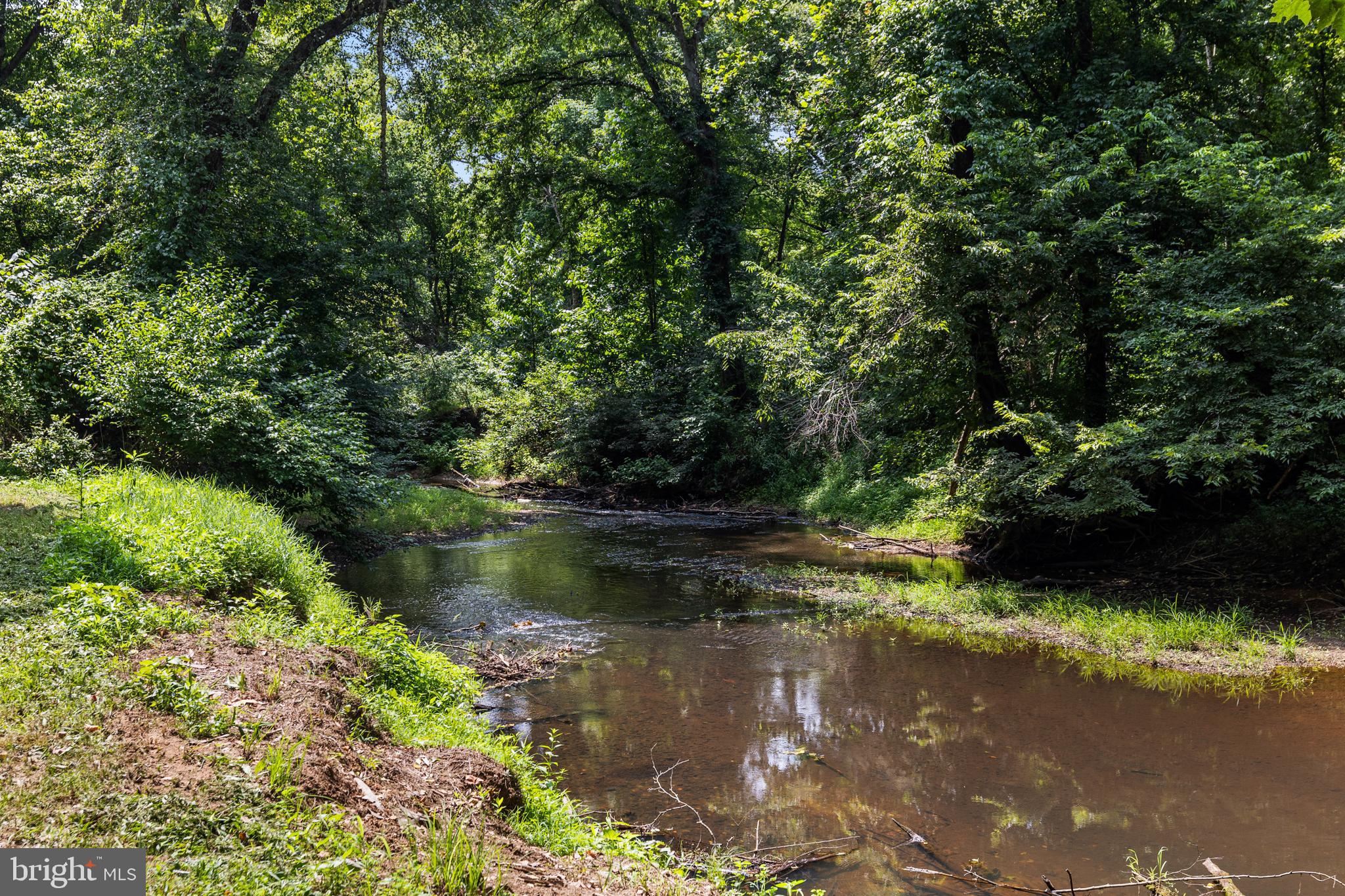 362 Dell Perkins Road Louisa, VA 23093 - Photo 23 of 92 Gallery Image 23