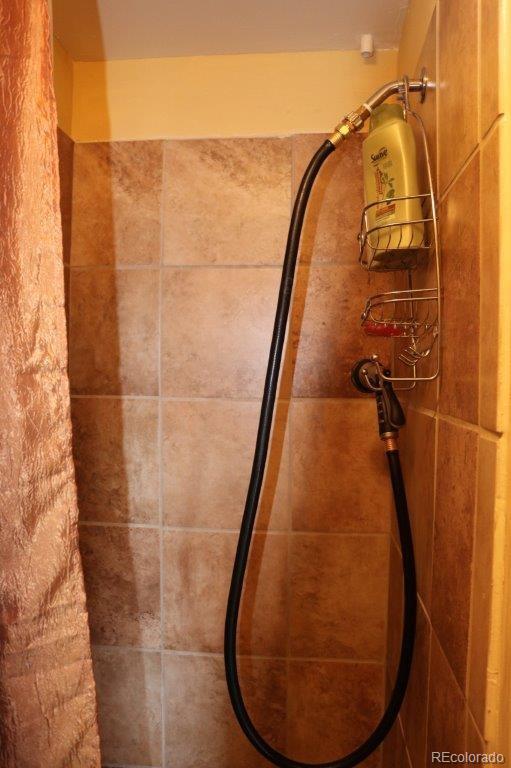 984 Reinecker Road Fairplay, CO 80440 - Photo 8 of 9 Gallery Image 8