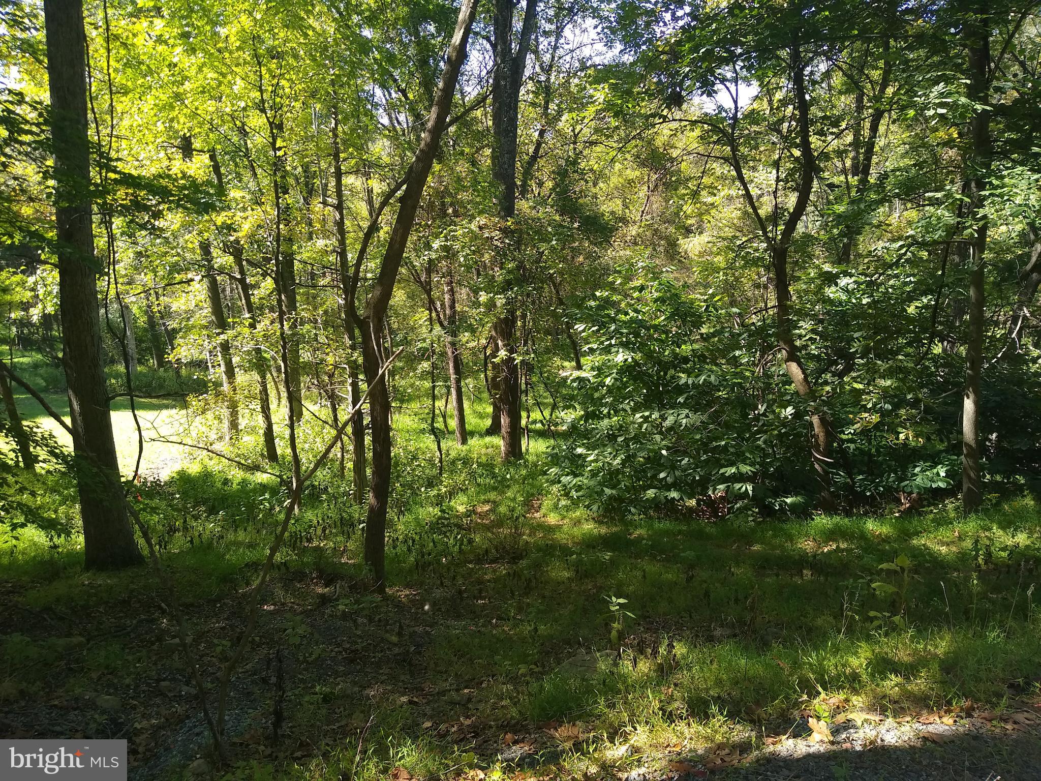 Lot 9-bb Greenfield Road Front Royal, VA 22630 - Photo 1 of 5
