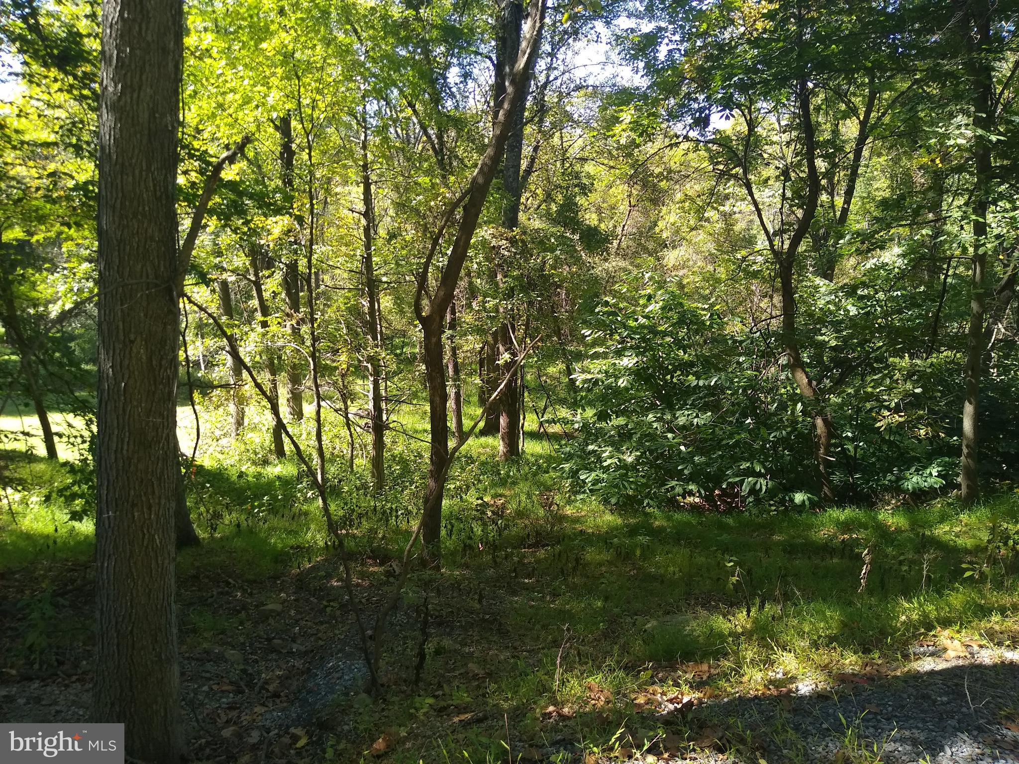 Lot 9-bb Greenfield Road Front Royal, VA 22630 - Photo 2 of 5