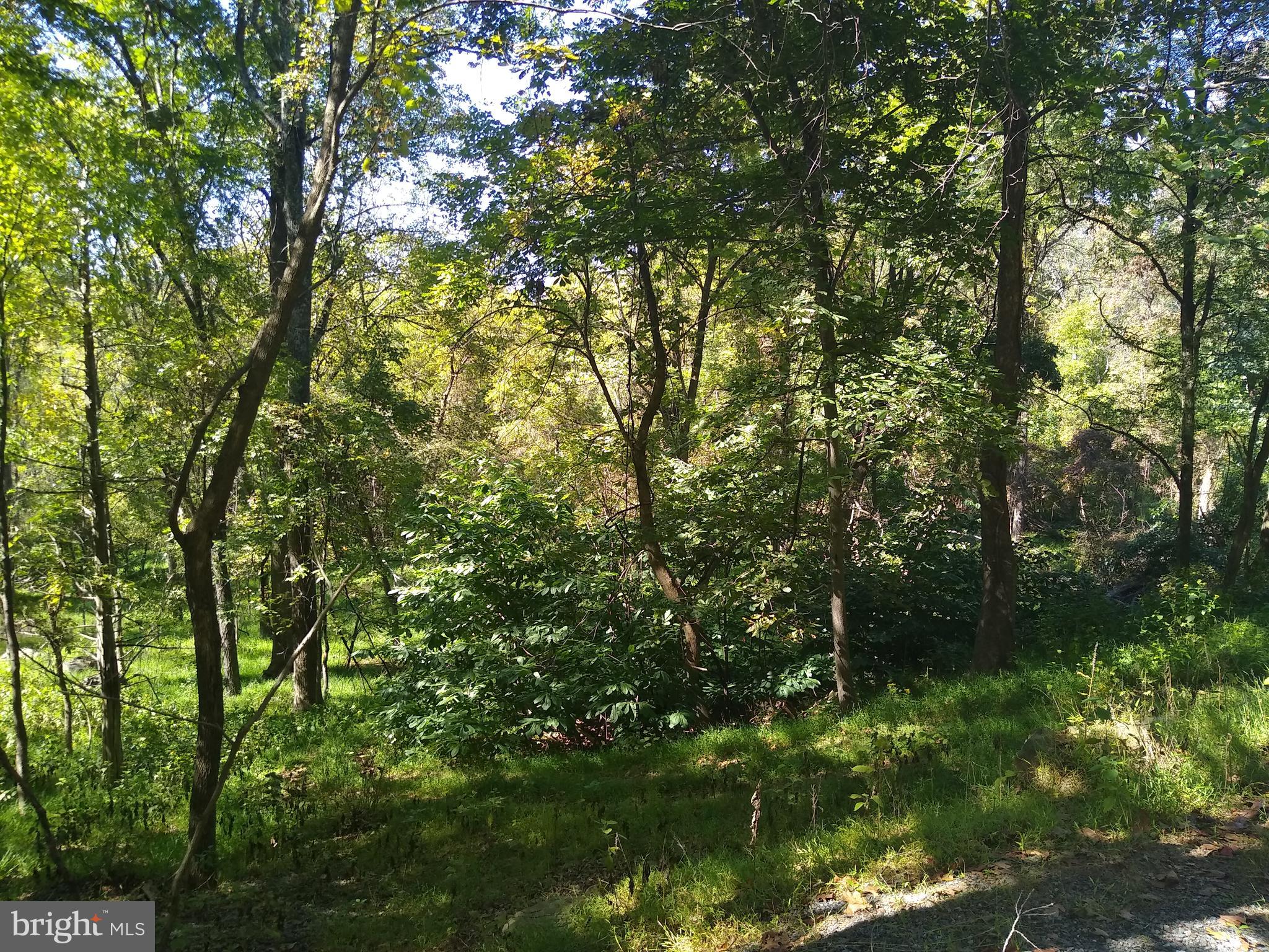 Lot 9-bb Greenfield Road Front Royal, VA 22630 - Photo 3 of 5