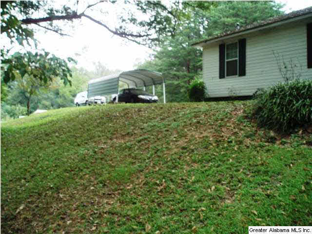 1421 Peaceburg Road Weaver, AL 36277 - Photo 25 of 29
