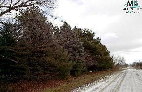 4279 French Line Road Carsonville, MI 48419 - Photo 7 of 9 876860-6.JPG