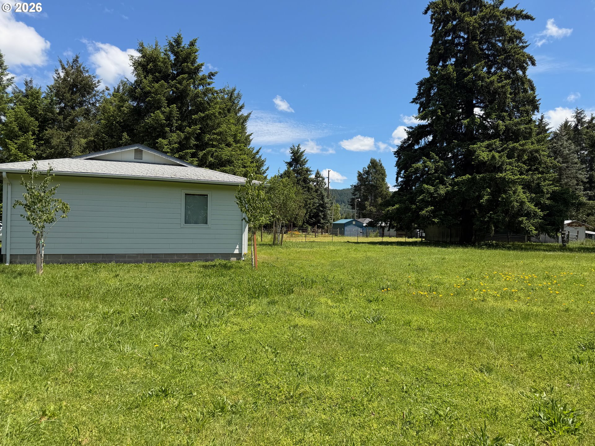 33802 Market Road Creswell, OR 97426 - Photo 28 of 30 a view of backyard with green space