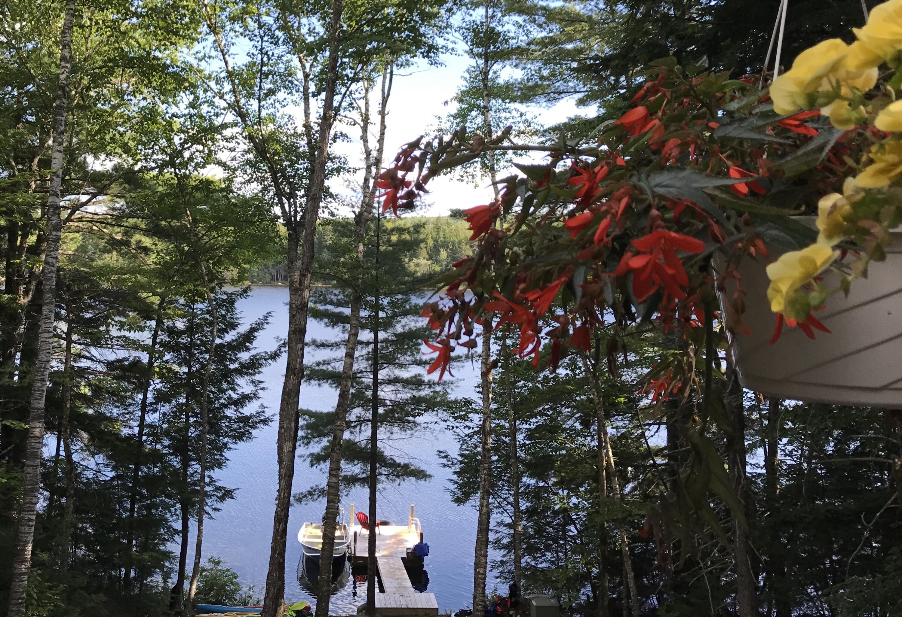 1790 Houston Road Lincoln, ME 04457 - Photo 59 of 67 View of dock from the cottage...