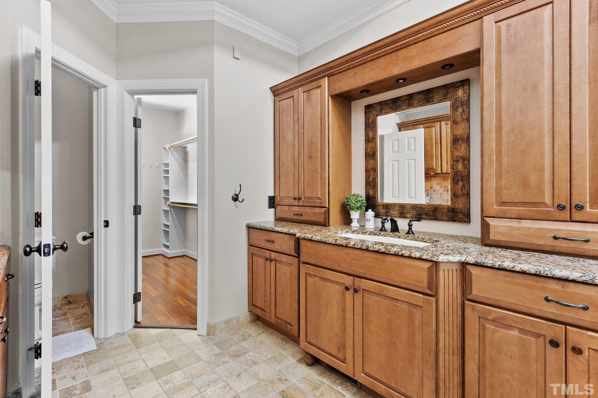 269 Hogans Valley Way Cary, NC 27513 - Photo 17 of 42 a bathroom with a granite countertop sink and a mirror
