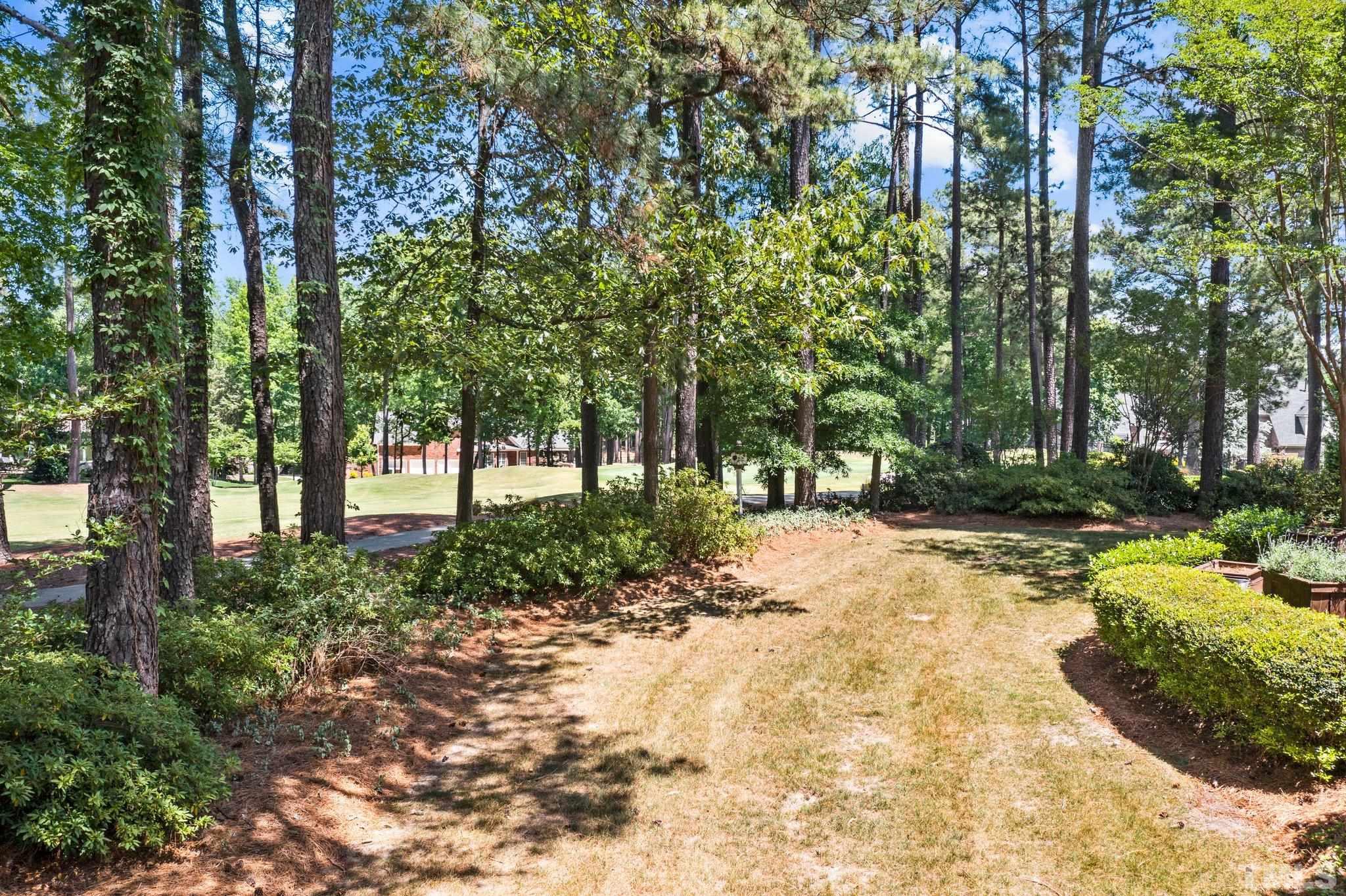 269 Hogans Valley Way Cary, NC 27513 - Photo 38 of 42 a view of a garden with trees