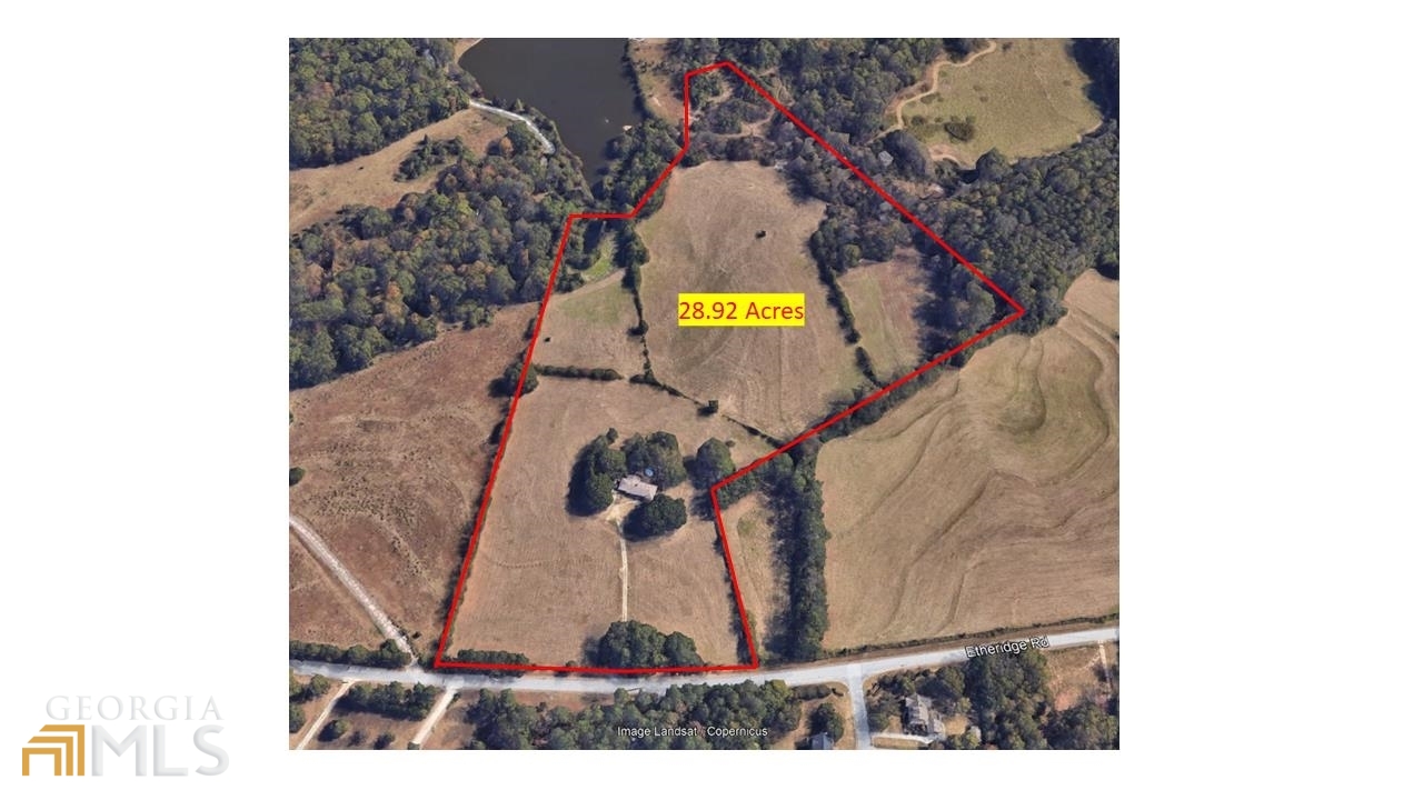 189 Etheridge Road Auburn, GA 30011 - Photo 2 of 7