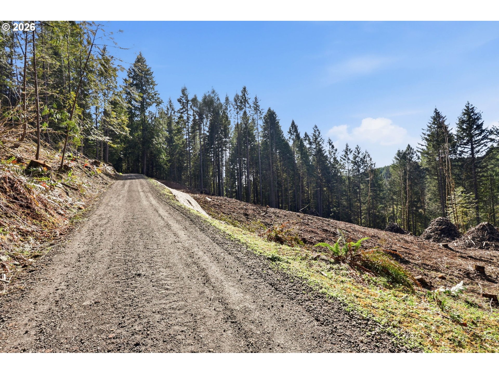 0 Northwest Green Mountain Road Banks, OR 97106 - Photo 33 of 36