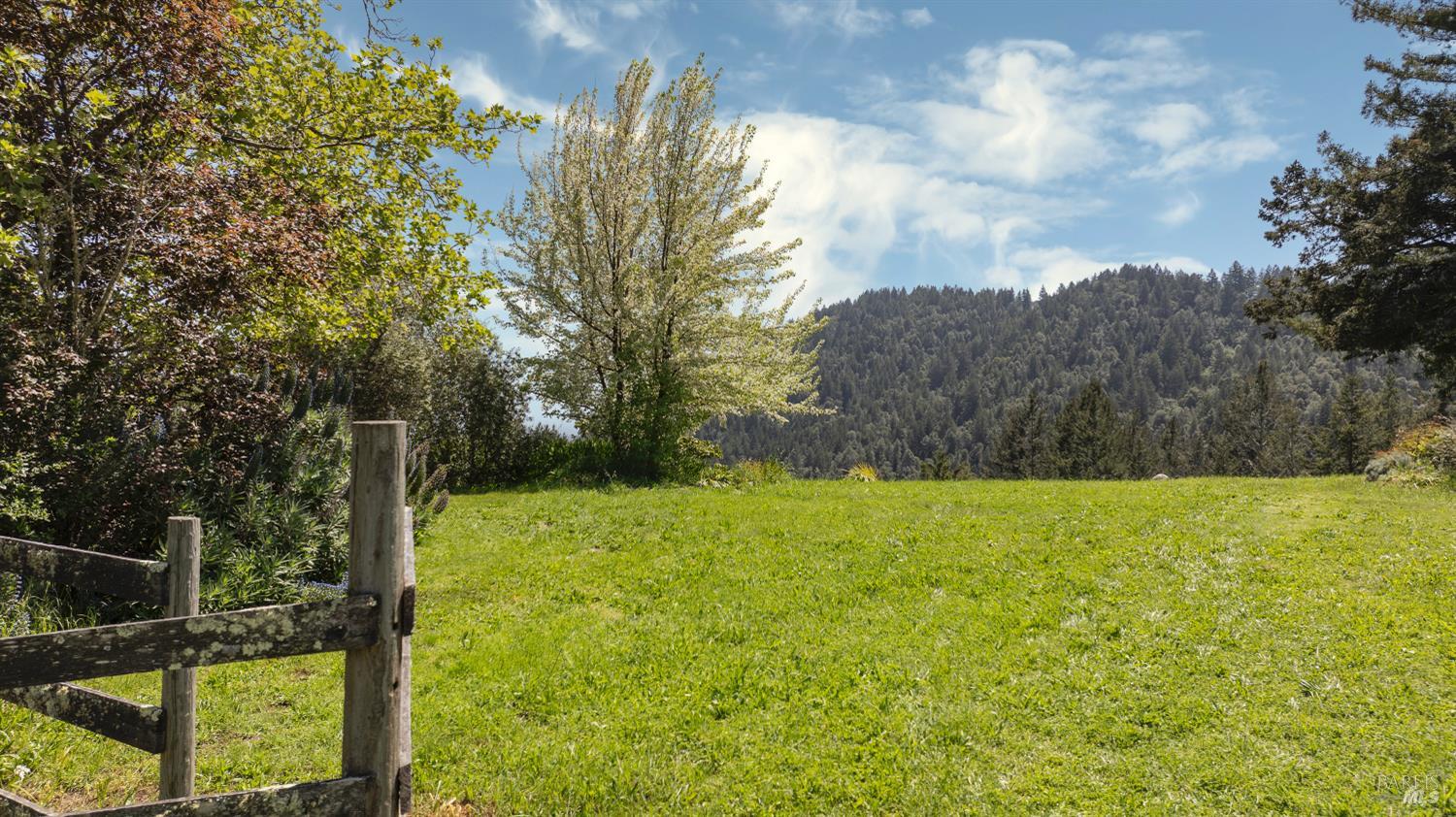 10957 Westside Road Healdsburg, CA 95448 - Photo 14 of 30