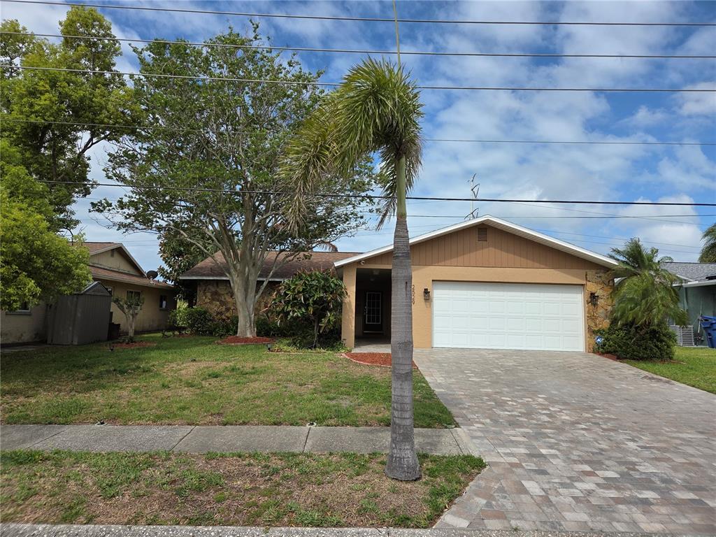 2529 San Luis Road Holiday, FL 34691 - Photo 4 of 61