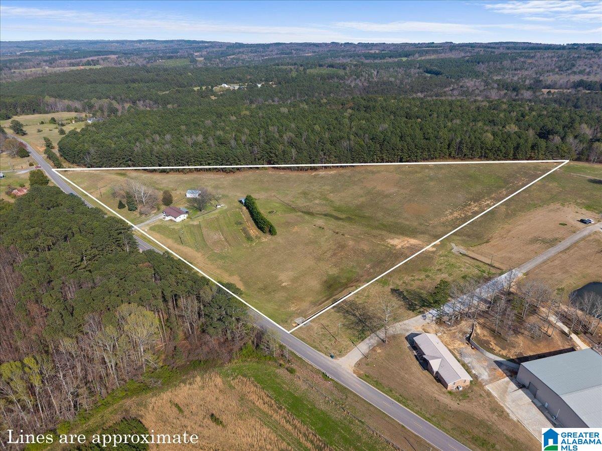 5743 County Highway 27 Springville, AL 35146 - Photo 4 of 46