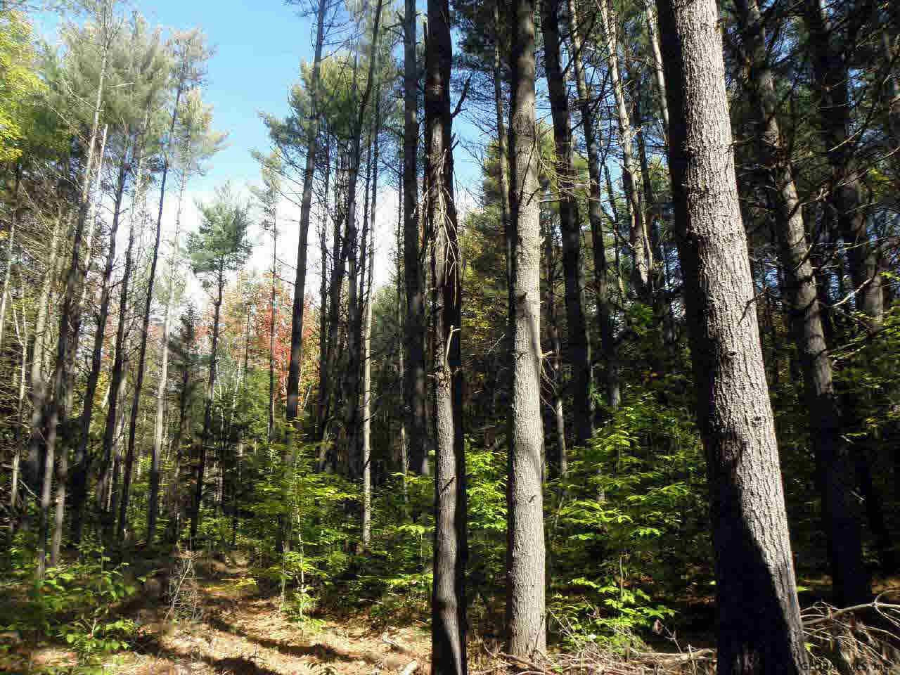 0 Drager Road Middle Grove, NY 12850 - Photo 1 of 8 Photo 1