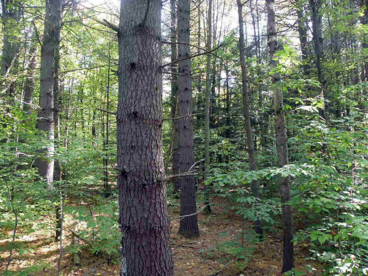 0 Drager Road Middle Grove, NY 12850 - Photo 2 of 8 Photo 2