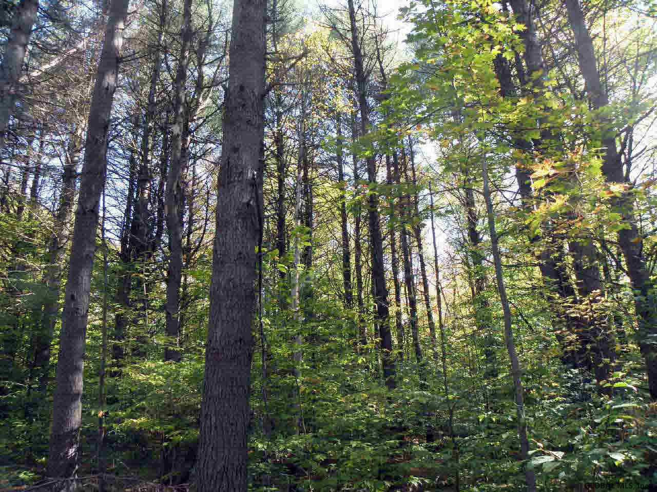 0 Drager Road Middle Grove, NY 12850 - Photo 3 of 8 Photo 3