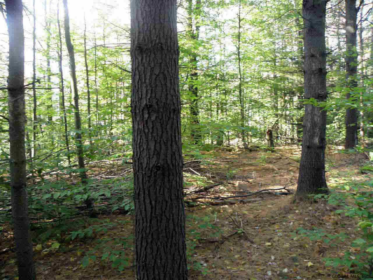 0 Drager Road Middle Grove, NY 12850 - Photo 4 of 8 Photo 4