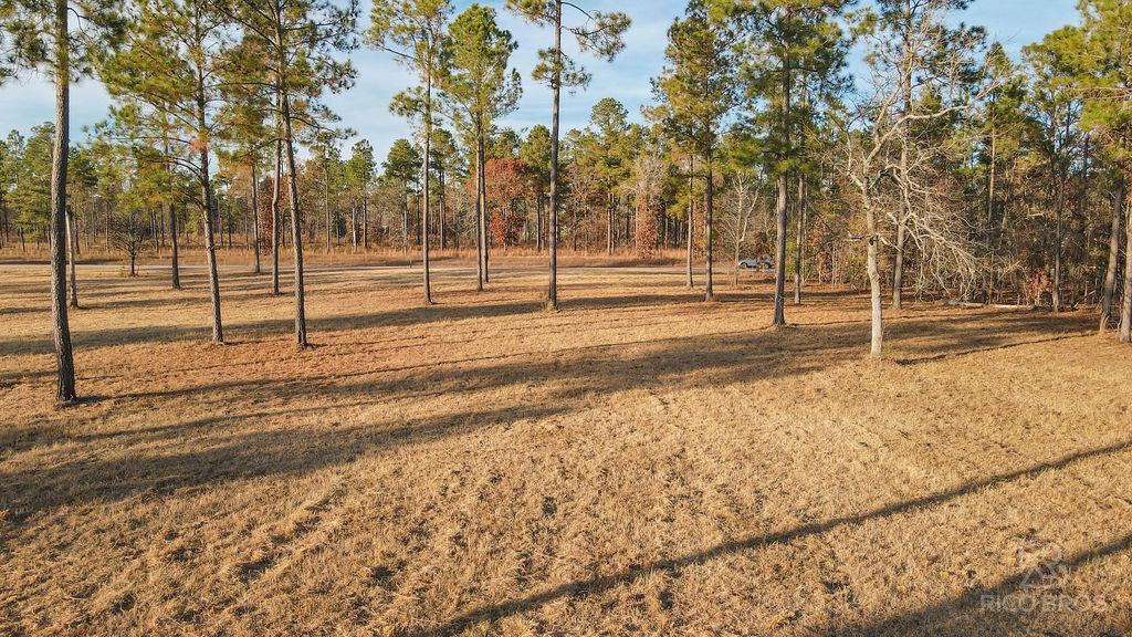 Lot 28 Rembert Place Aiken, SC 29803 - Photo 4 of 18