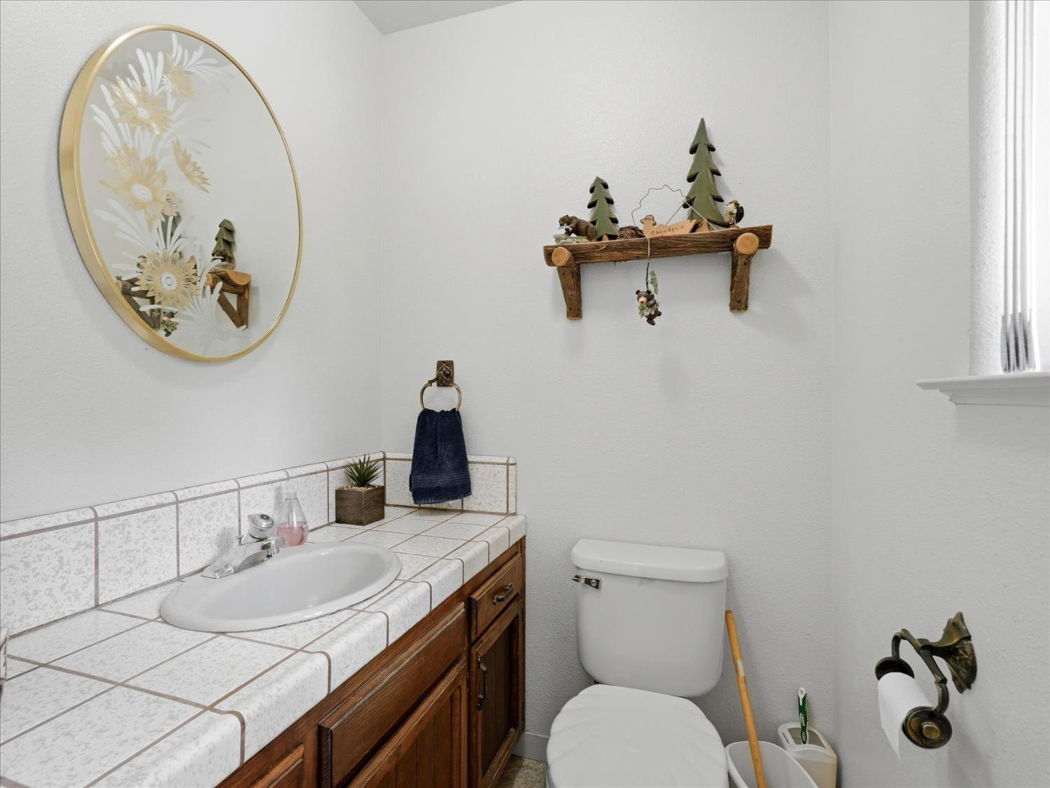 45577 Meadow Brook Road Coarsegold, CA 93614 - Photo 30 of 55